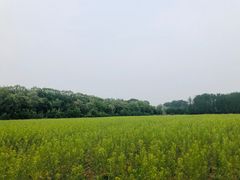 -大自然农场蔬菜草莓采摘园