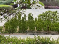 -白鹭湾湿地公园