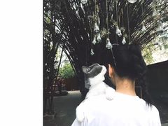 -陶享时光西餐·下午茶·竹林花园(新城店)