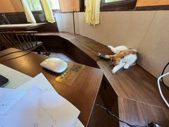 -猫岛主趣味餐厅(鼓浪屿店)
