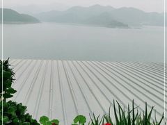 -望湖烤鱼