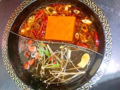 -渝大龙重庆火锅(温泉月亮湾店)