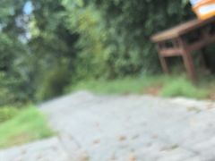 -桃花岭景区