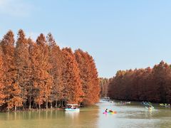 -上海海湾国家森林公园