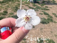 -赵州桥景区