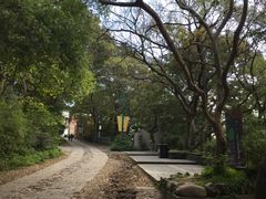 -上海佘山国家森林公园西佘山园