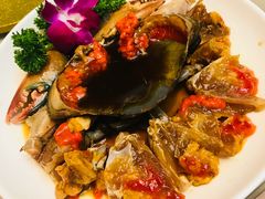 -席家花园(巨鹿花园店)
