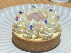 -猫里有甜