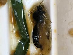 -外婆家(西溪印象城店)