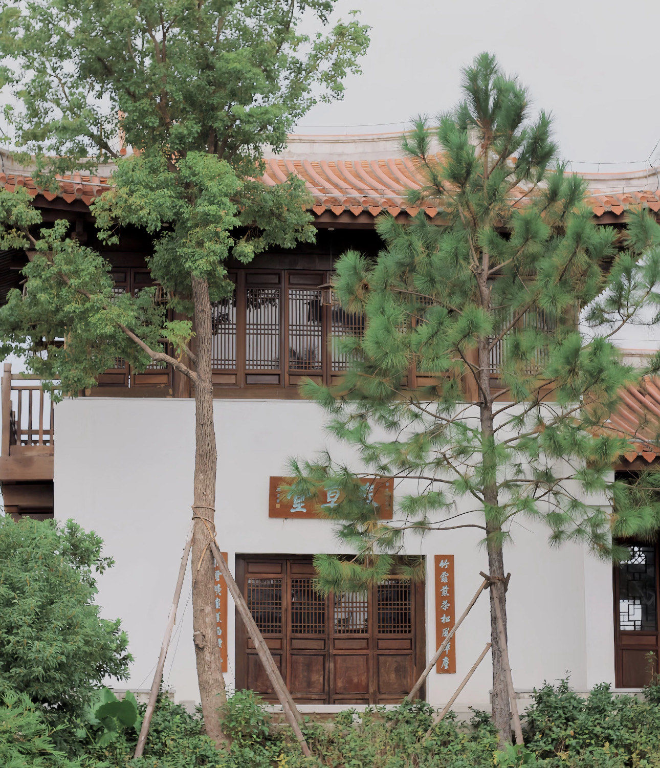 泉州西湖公园的桃花岛!