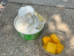 -Salud撒露欧洲冻酸奶(蓝色港湾店)