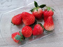 -百果园(板桥路蓝水湾店)