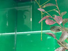 -上海大自然野生昆虫馆(东方明珠·爬宠昆虫探索中心)