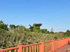 -芒洲湿地公园