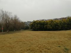 -白鹭湾湿地公园