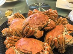 清水大闸蟹-王宝和酒家(黄浦店)