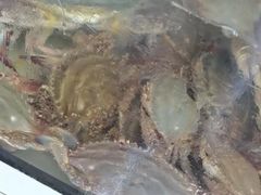 -阿伍海鲜大排档(塔湾金沙店)