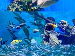 -郑州海洋馆