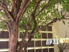 -静耳元気采耳·按摩·SPA(万象前海店)
