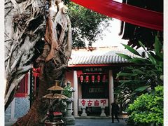 -叩齿古寺