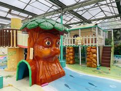 -南宫五洲植物乐园