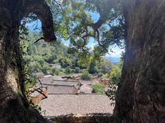 -杨家堂村