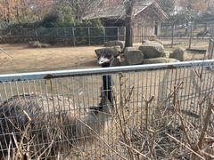 -苏州上方山国家森林公园