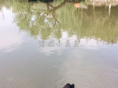 -水绘园
