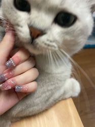 -本小姐美学·半永久纹眉野生眉