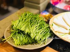 活体盆栽豆苗-蜀大侠火锅(四川北路店)