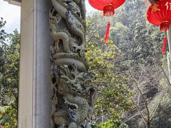 -云碧峰国家森林公园