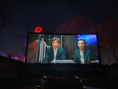 -枫花园汽车电影院(朝阳公园店)