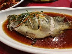 清蒸桂鱼-天福苑(崇宁路店)