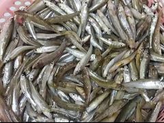 -始于2011柳周农家菜沙田柚美食店(东大街店)