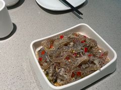 -半天妖烤鱼(诺德广场店)