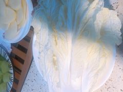 -二荆条·蜀鲜汇城市森林火锅