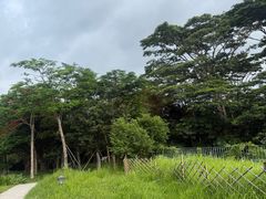-福田红树林生态公园