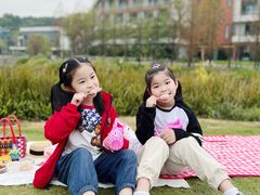 -铁山坪森林公园