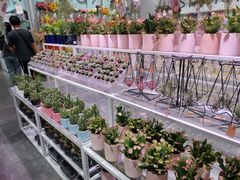 -KKV(深圳宏发大仟里店)