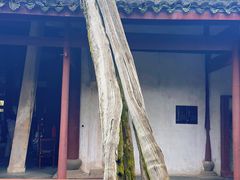 -太平天国侍王府