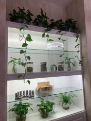 -诗媛嘉美健康管理中心(金桥店)