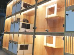 -小呆的宠物店·宠物售卖·宠物寄养(城西店)