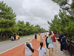 -日照海滨国家森林公园