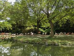 -上海野生动物园
