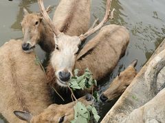 -宁波杭州湾国家湿地公园