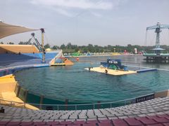 -秦皇岛乐岛海洋王国