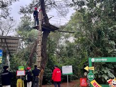 -芦仙山景区-飞越丛林探险乐园