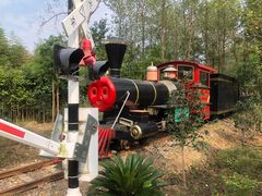 -合肥滨湖国家森林公园