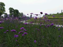 -南通洲际绿博园