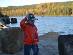 -五营红松林海景区